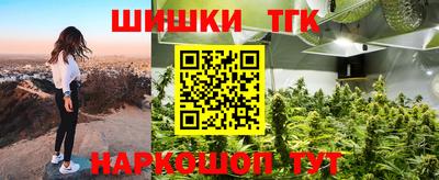 гашик Новозыбков