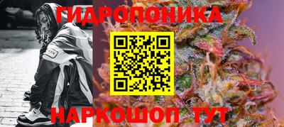 mdma Новодвинск