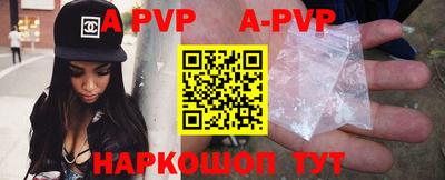 гашик Новозыбков