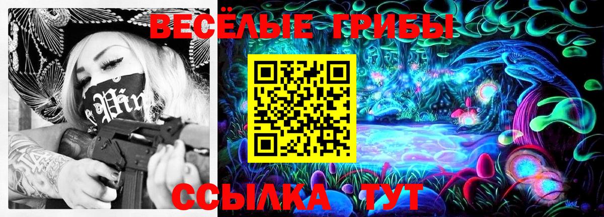 Узловая  Псилоцибиновые грибы прущие грибы  Вход с VPN  Галлюциногенные грибы мухоморы 
