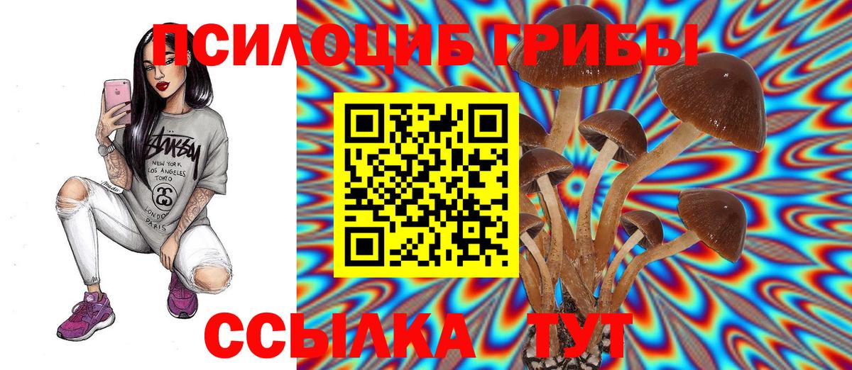 Псилоцибиновые грибы Psilocybe Узловая